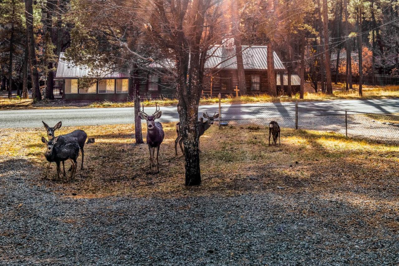 The Great Escape Ruidoso Exterior foto