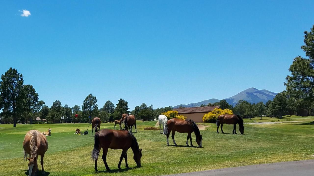 The Great Escape Ruidoso Exterior foto